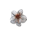 Nueva moda, Clip de garra de flor brillante para mujer, Clip de tiburón de cola de caballo dulce transparente, accesorios versátiles para el cabello para niña